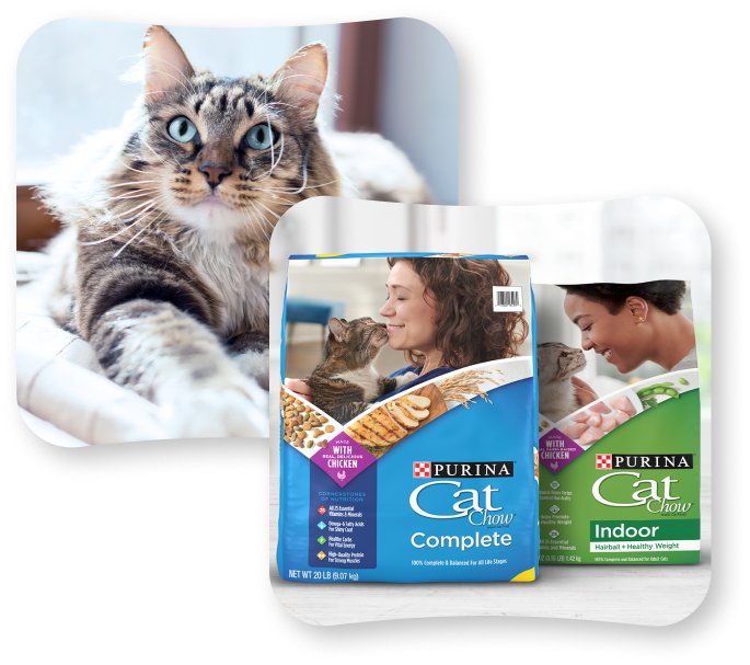 Cat and Friskies products