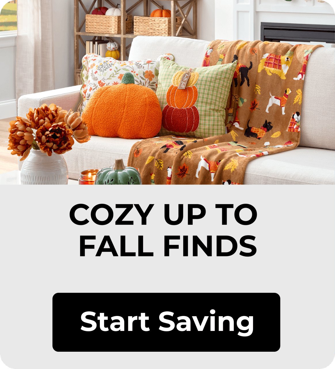 Fall