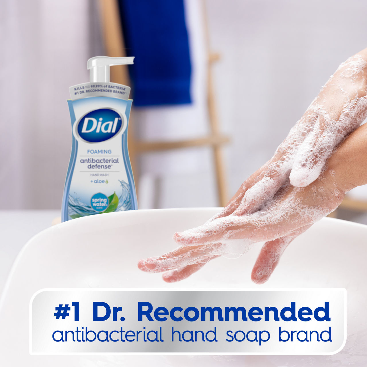 Dial Antibacterial Defense Spring Water Scent Foaming Hand Soap, 7.5 fl oz