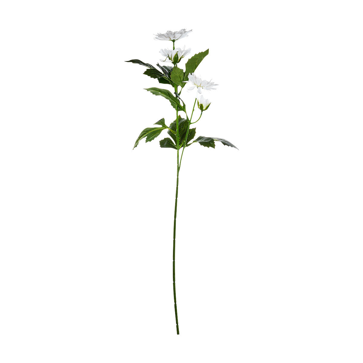 0