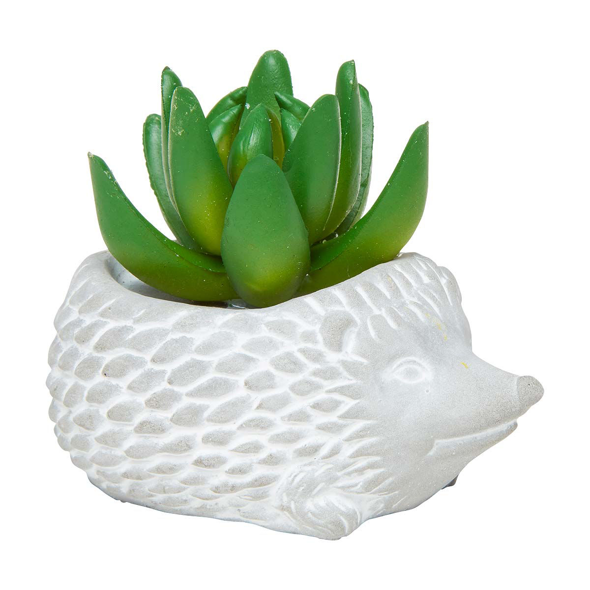Decorative-Animal-Shaped-Cement-Succulent,-Small---Assorted