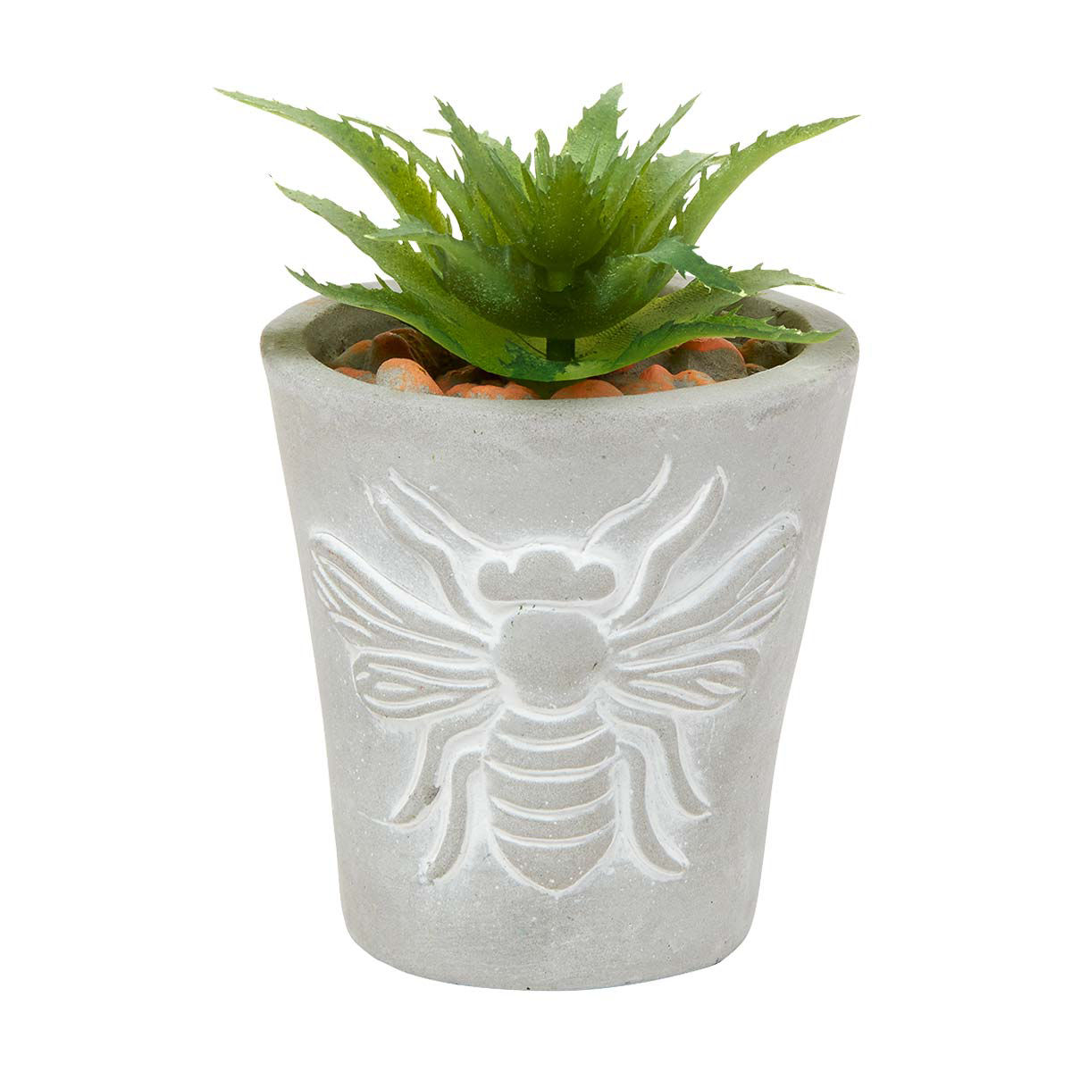 Decorative-Small-Round-Succulent,-Assorted