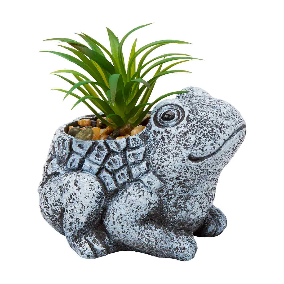 Decorative-Frog-Shaped-Cement-Succulent,-Assorted