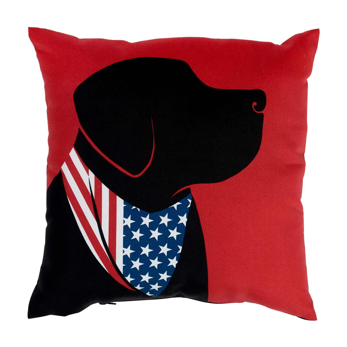 Patriotic-Square-Throw-Pillow,-1-ct,-Assorted
