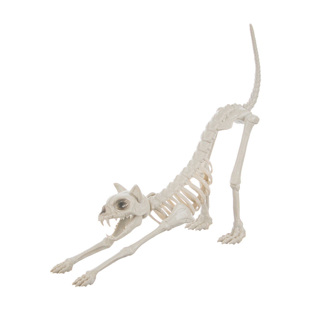 Halloween-Skeleton-Cat-Décor