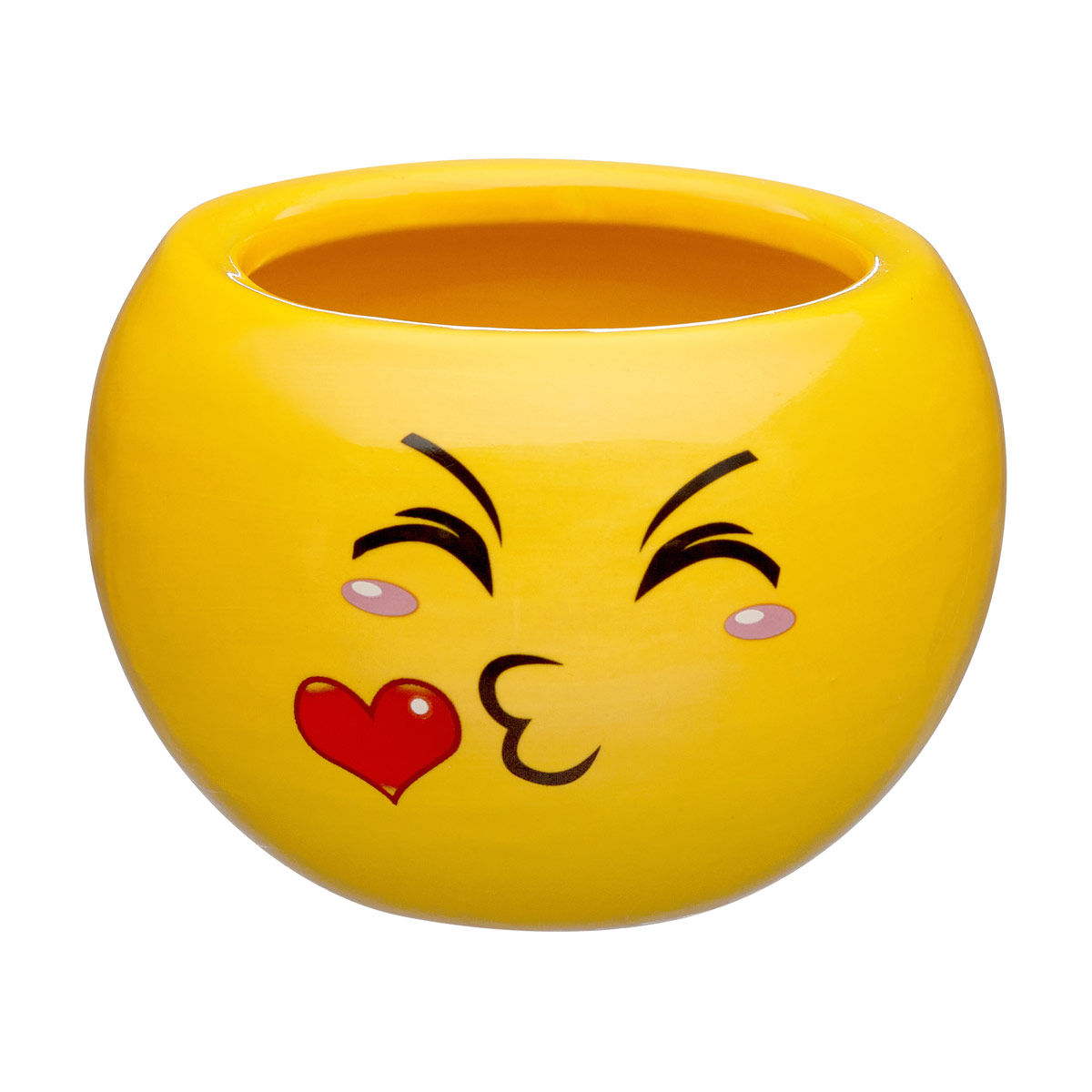 Buy Expression's Emoji Face Planter, Assorted from Dollar General