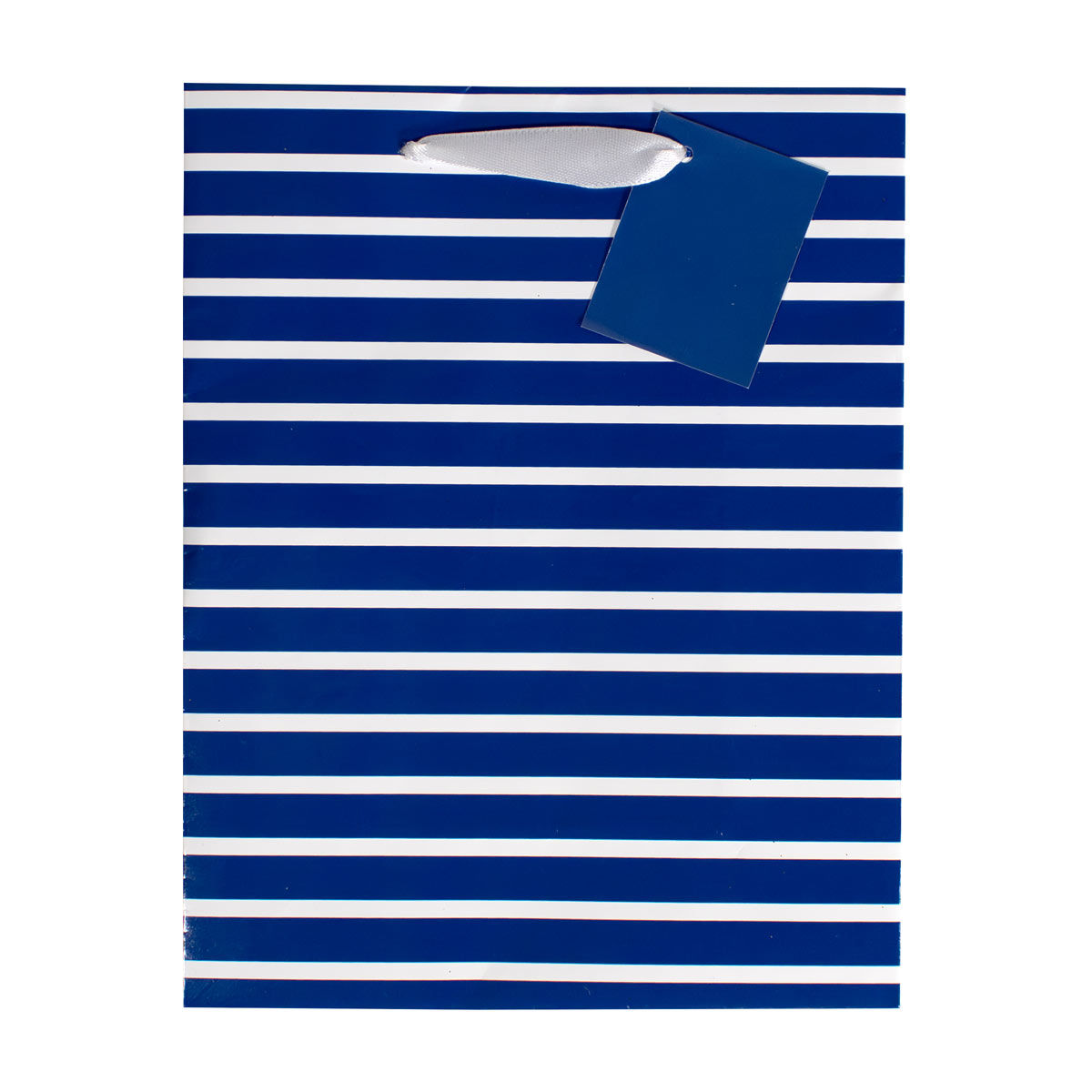 Striped Medium Gift Bag, 2 Assorted Colors