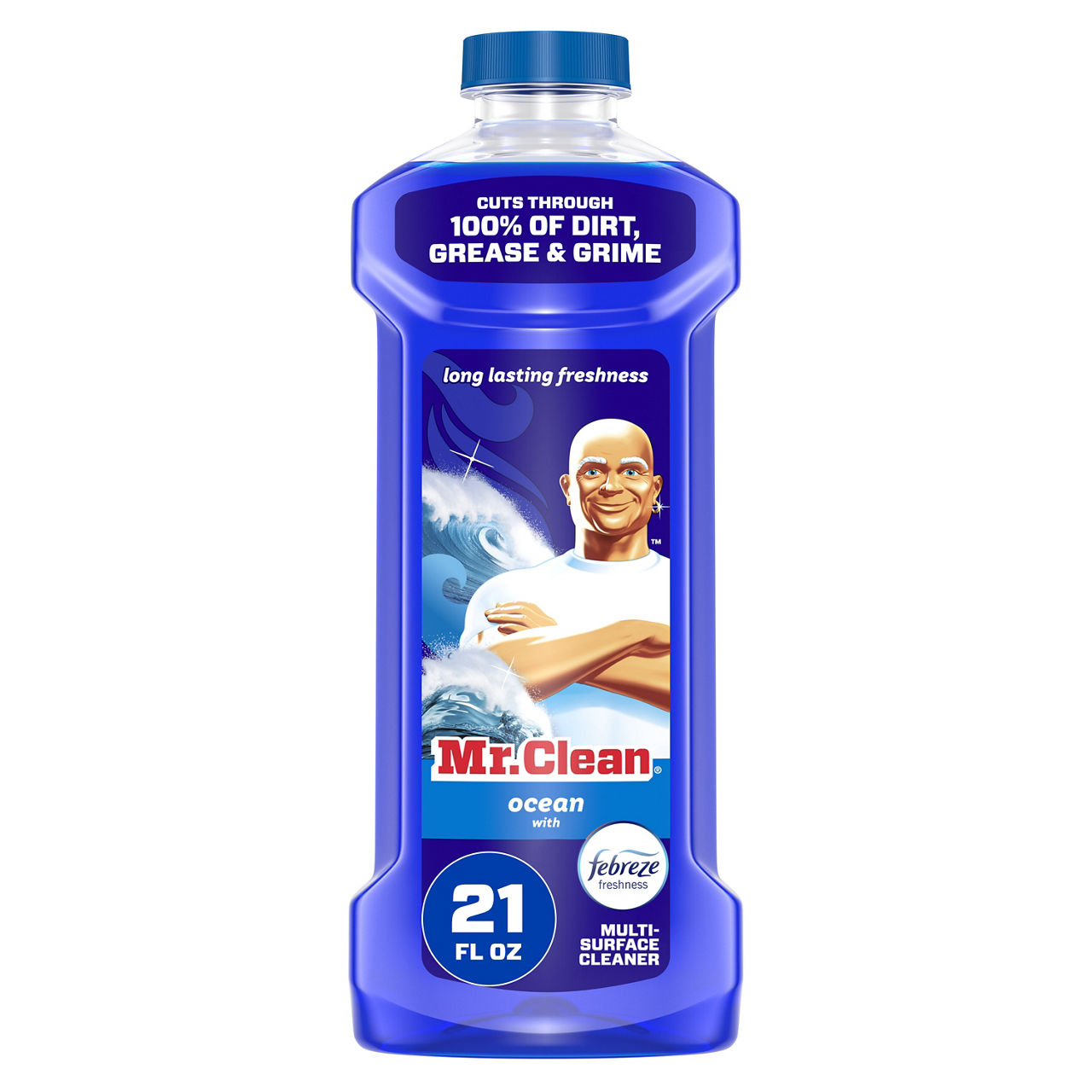 Mr. Clean All Purpose Cleaner, Floor Cleaner, Mop Soap, Cleaning Liquid, Ocean, 21 oz — Dollar General