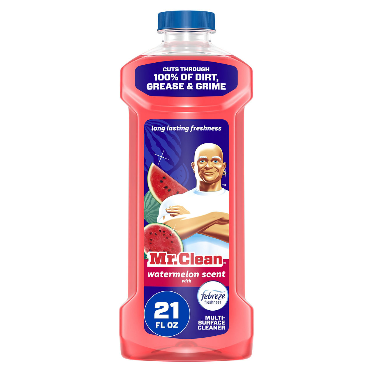 Mr. Clean All Purpose Cleaner, Floor Cleaner, Mop Soap, Cleaning Liquid, Watermelon, 21 oz — Dollar General