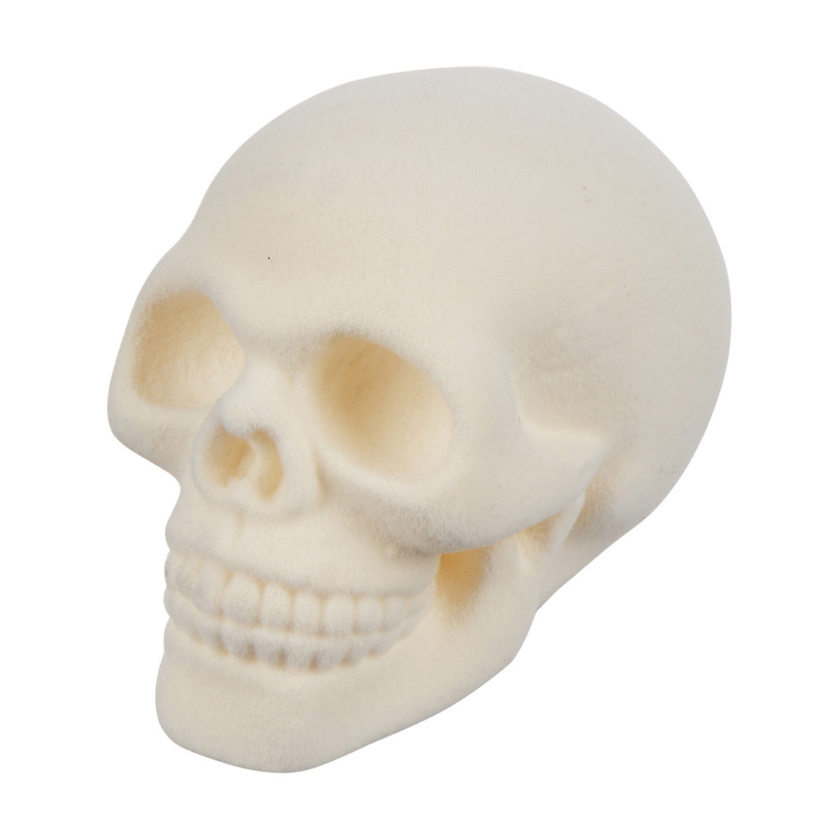 Halloween-Mini-White-Skull-Bone-Décor