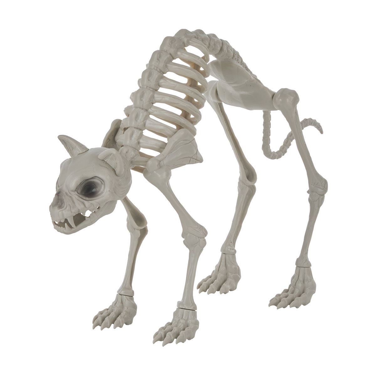 Halloween Cat Skeleton Décor