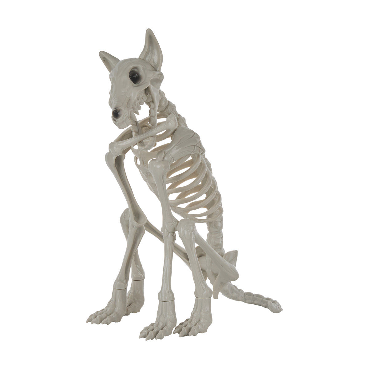 Halloween Skeleton Dog Décor