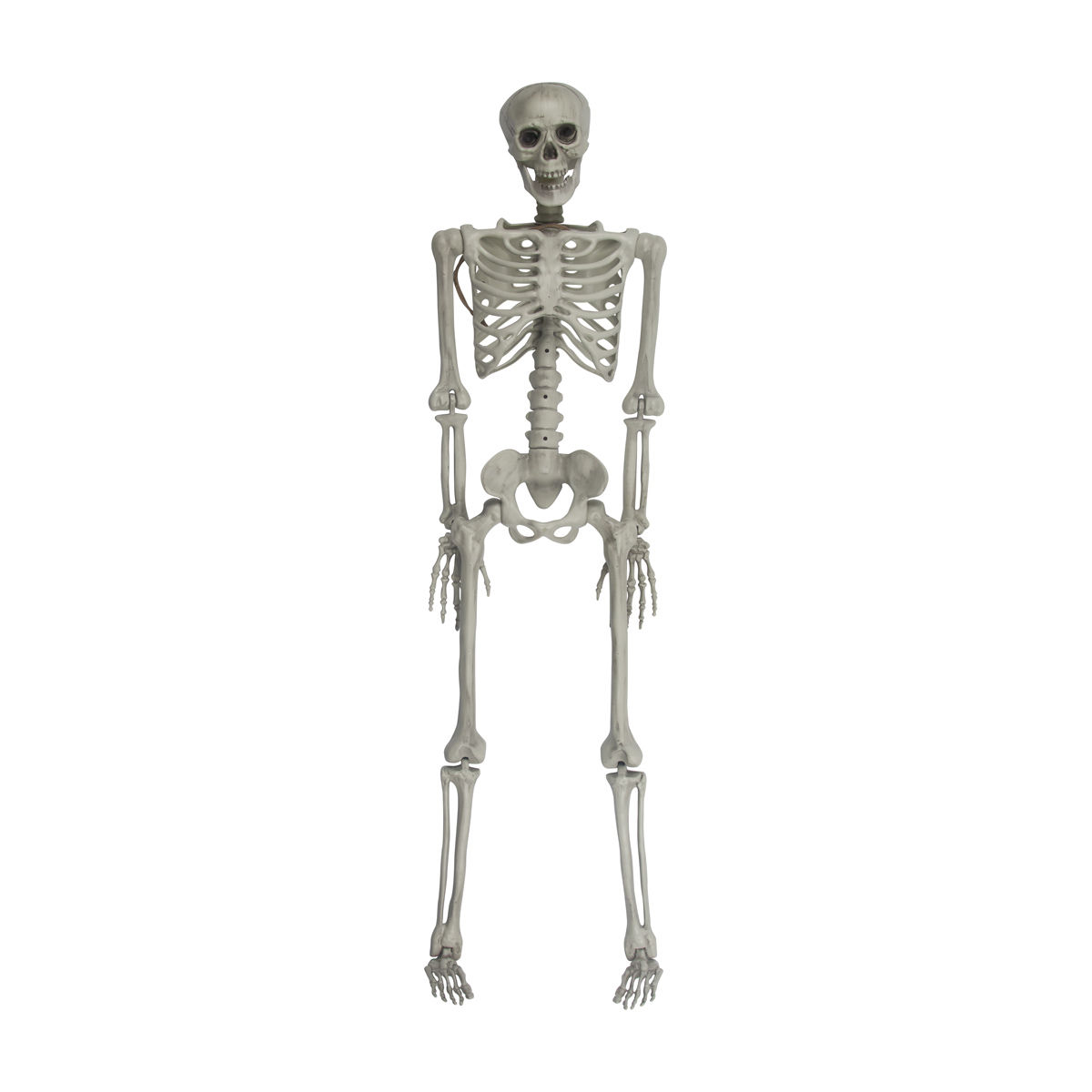 Halloween White Plastic Poseable Skeleton, 60 in