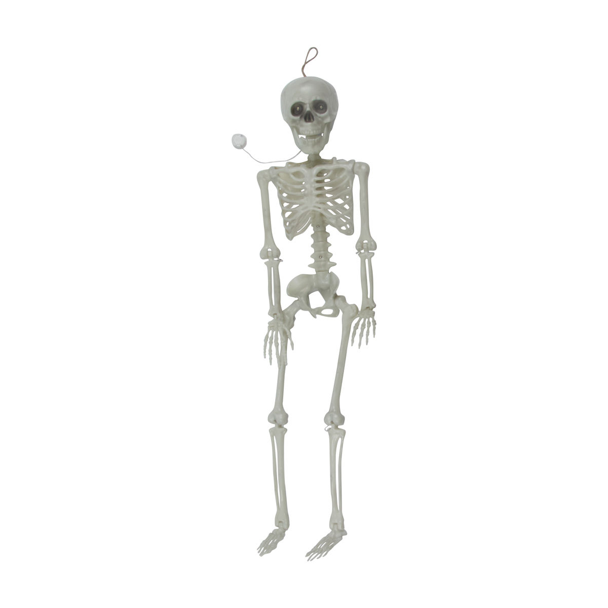 Halloween Light-Up Poseable Skeleton, 36 in — Dollar General