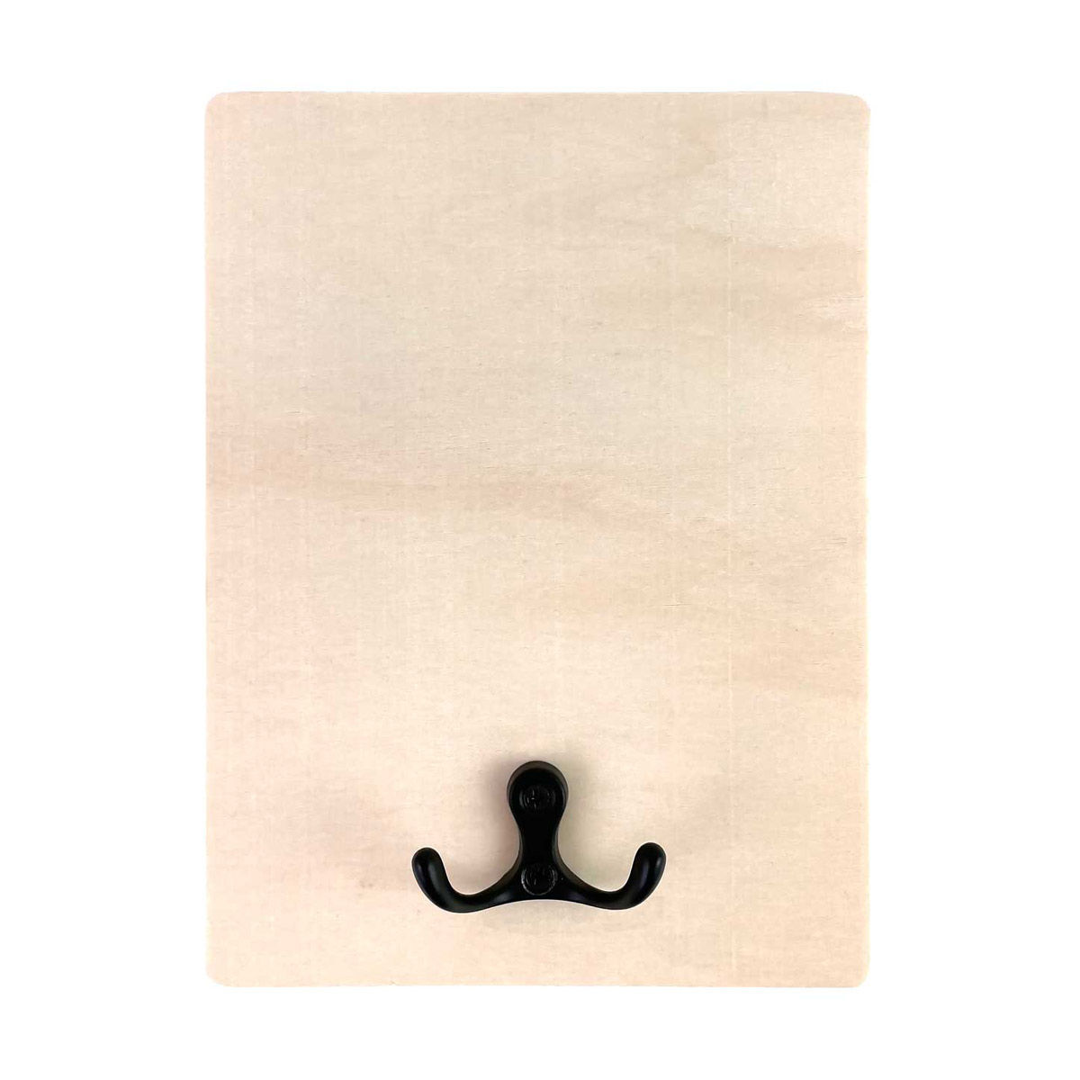 ArtSkills Crafter's Closet Wood Plaque with Hook