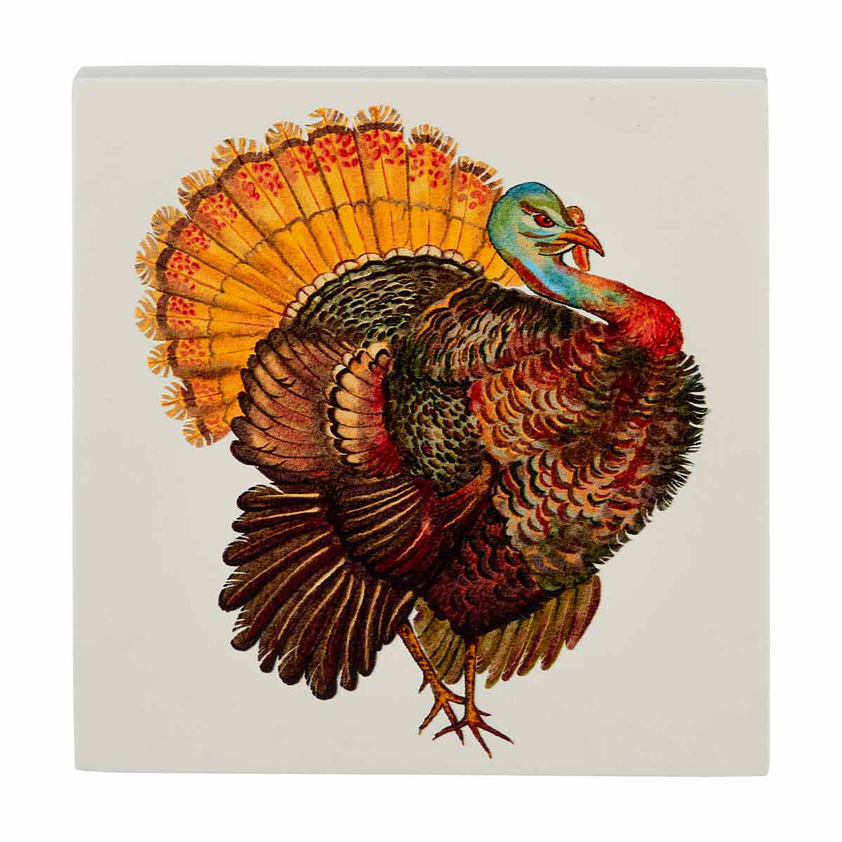 Holly Williams Fall Turkey Printed Block Décor, 4.5x4.5 in