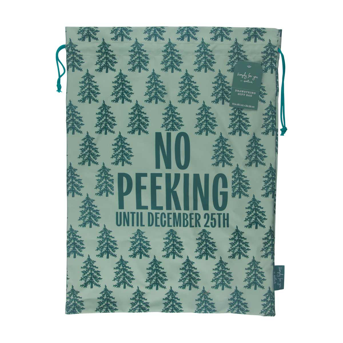 Christmas Green "No Peeking" Gift Bag