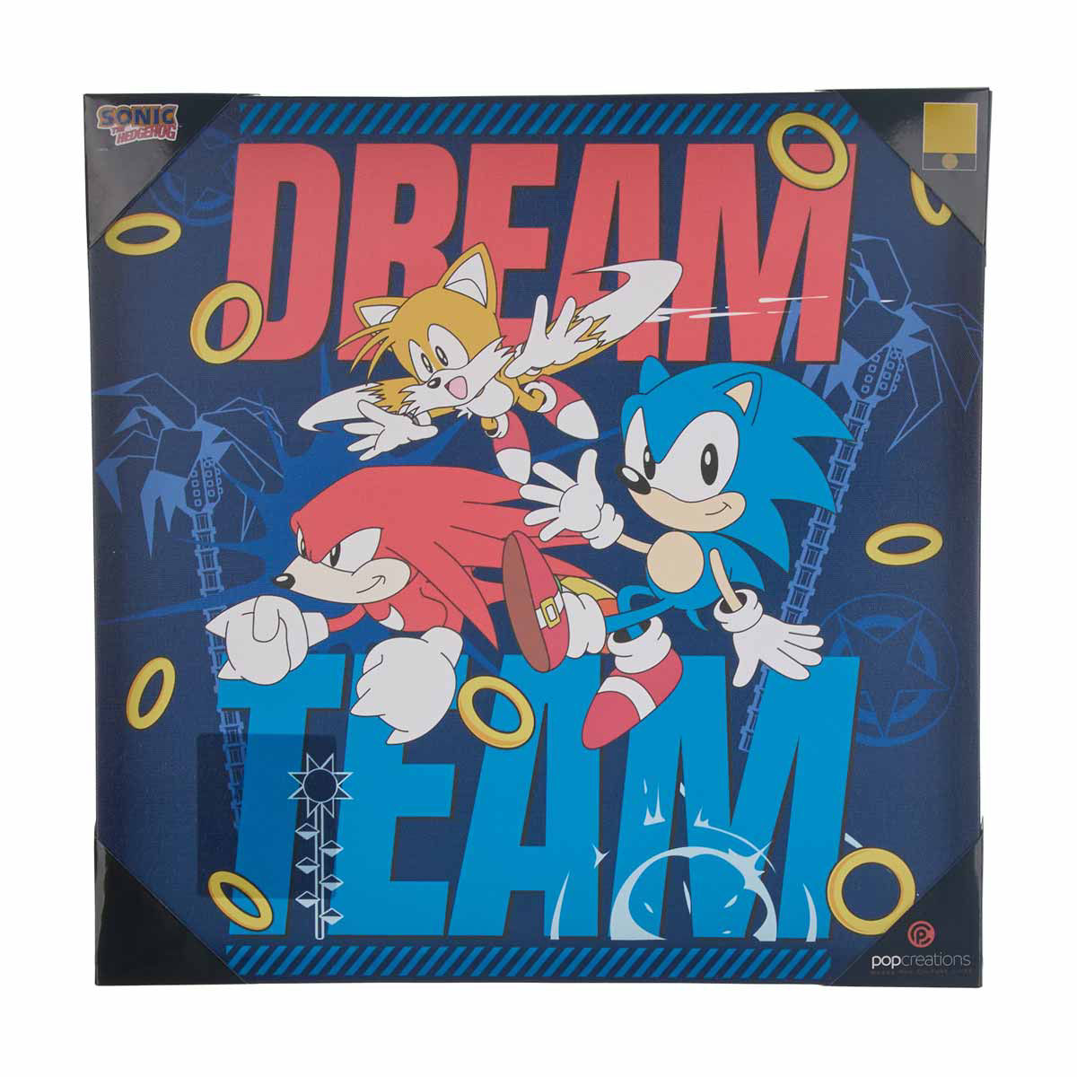 Sonic-the-Hedgehog-Dream-Team-Canvas-Wall-Art,-16x16-in