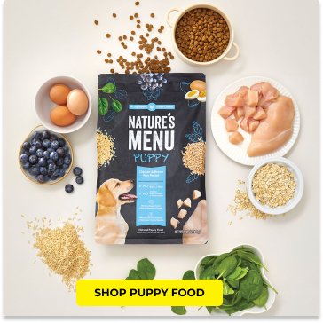 Shop Dog Food