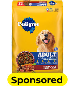 pet