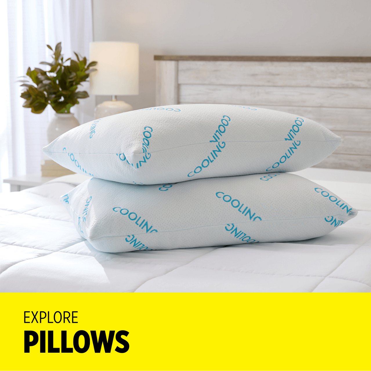 Explore Pillows