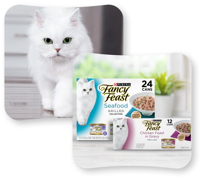 Cat and Friskies products