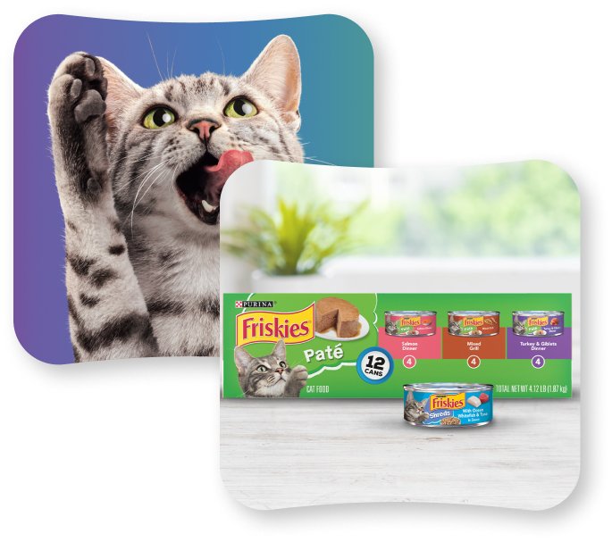 Cat and Friskies products