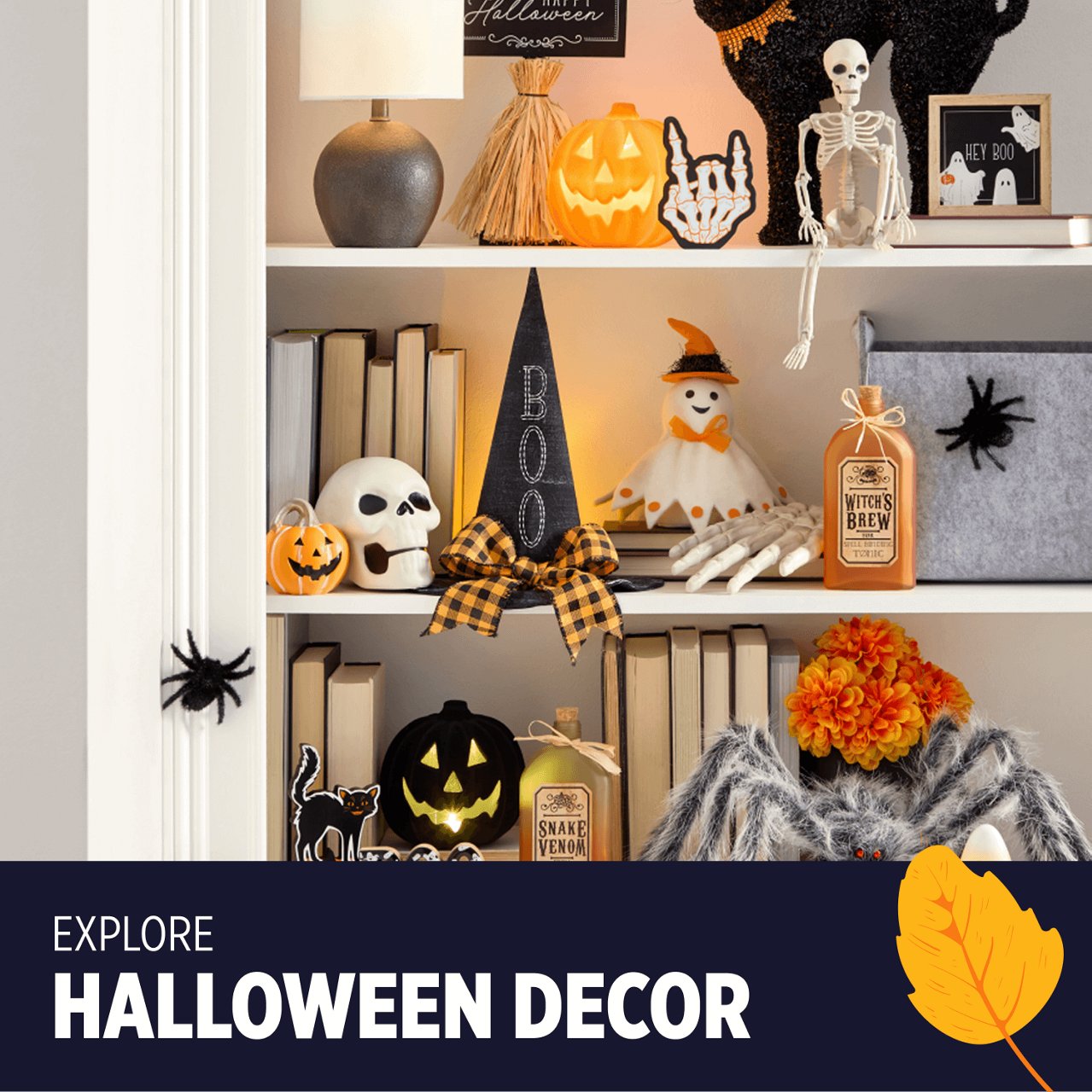Explore Halloween Decor