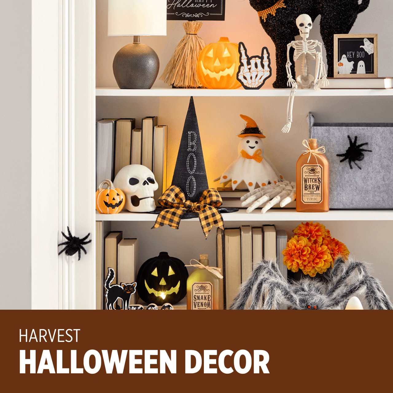 Explore Halloween Decor