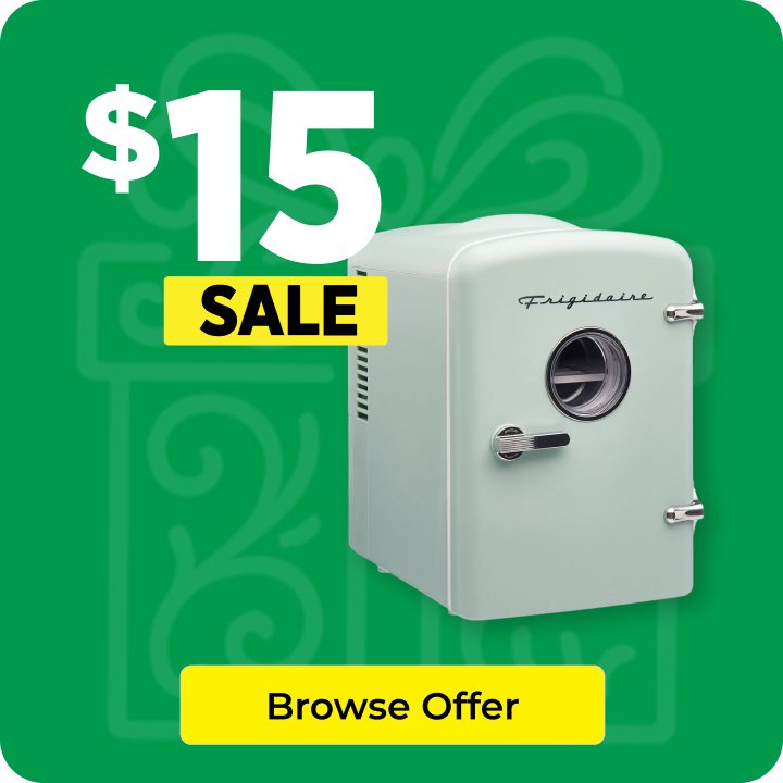 $15 Mini Fridge