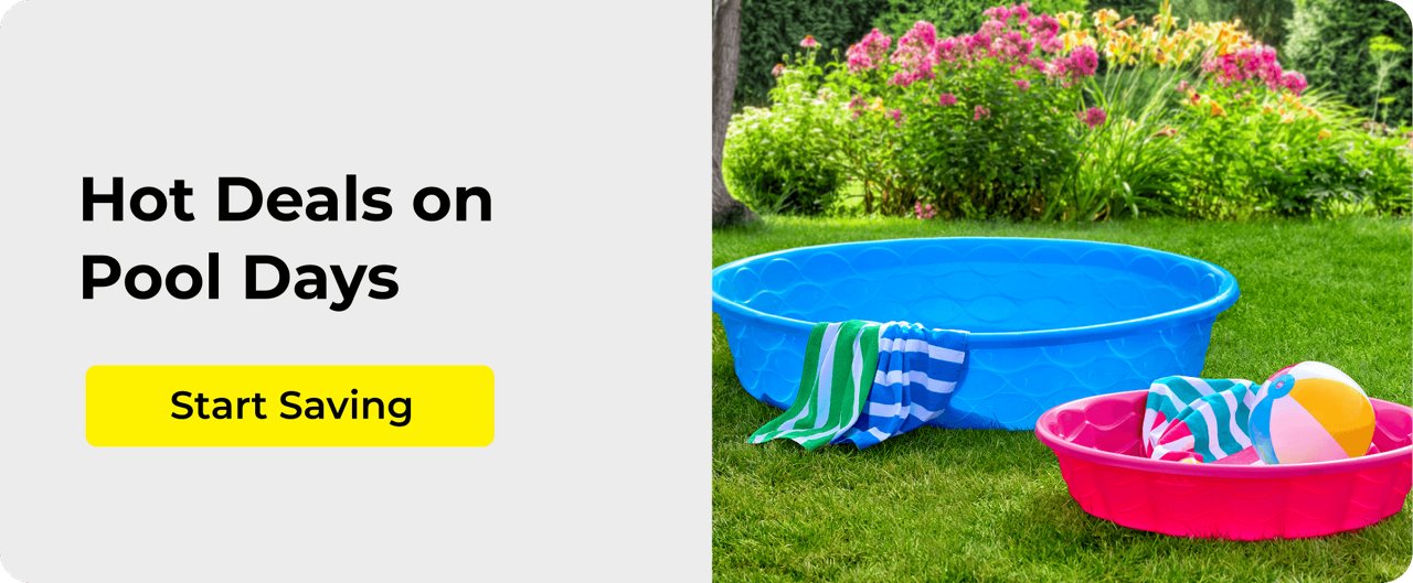 Summer Pool Toys