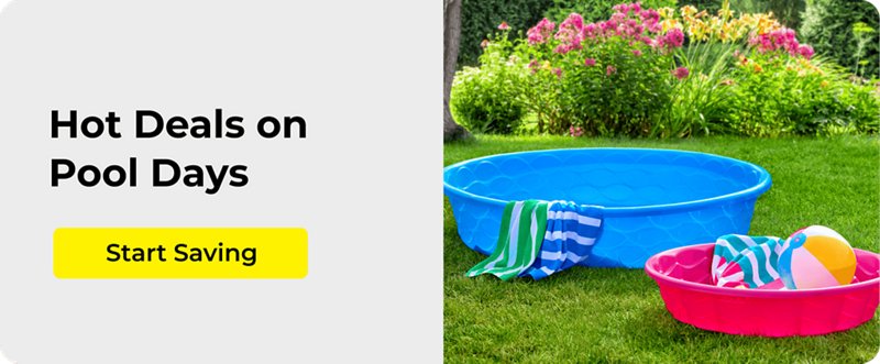 Summer Pool Toys