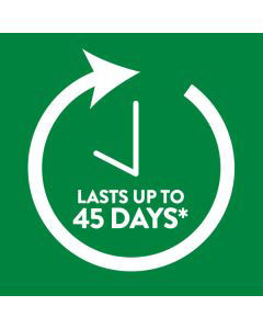 Air Wick Scented Oil Warmer