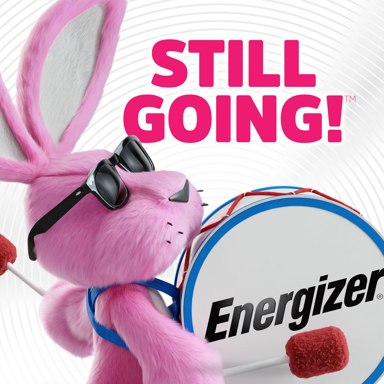Energizer MAX D Alkaline Batteries, 2 Count