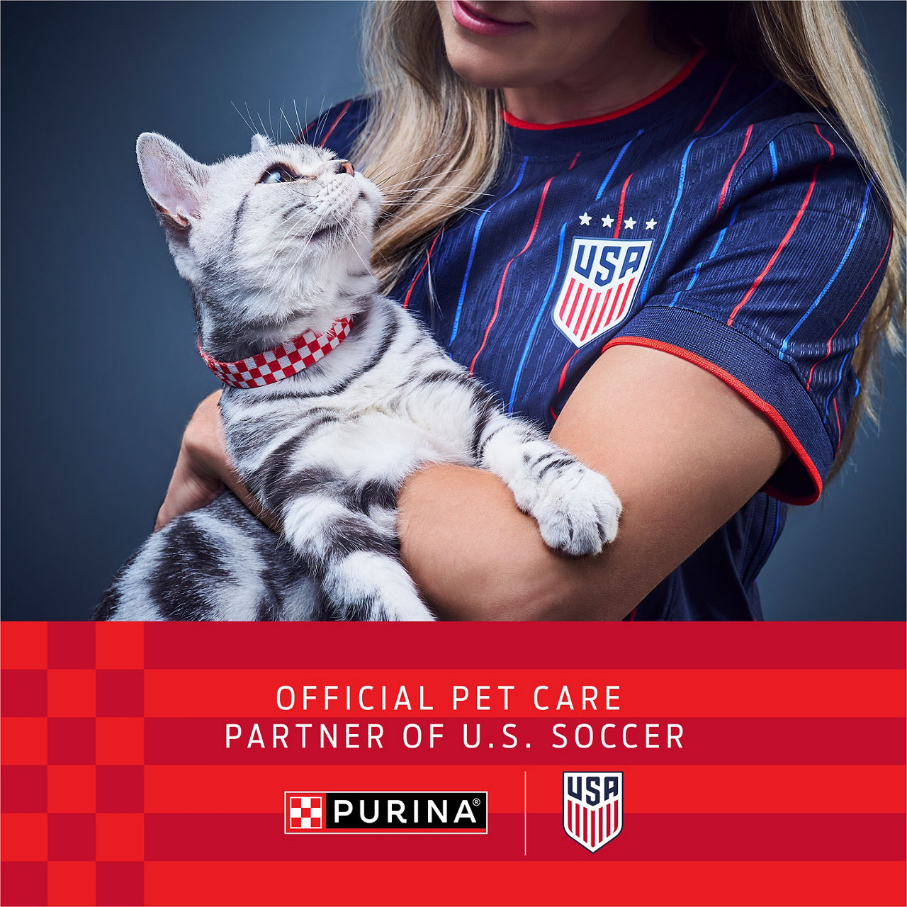 Purina Fancy Feast Salmon Feast Classic Grain Free Wet Cat Food Pate
