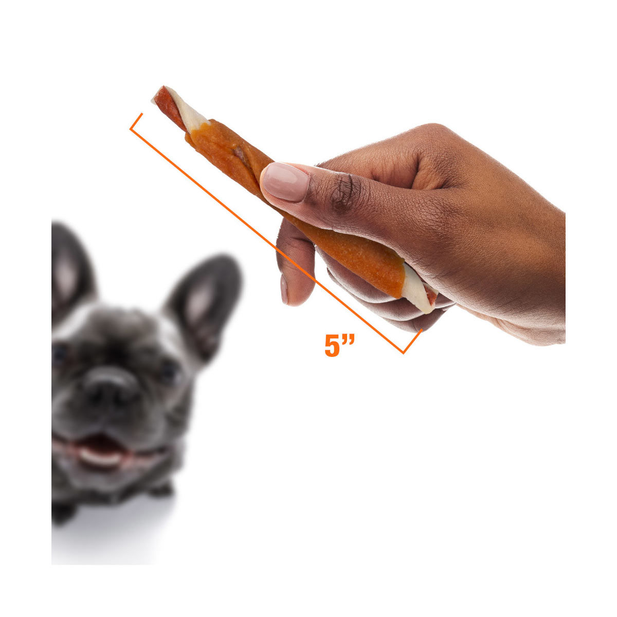 Good 'n' Fun Triple Flavor Ribs Dog Treats, 4 oz