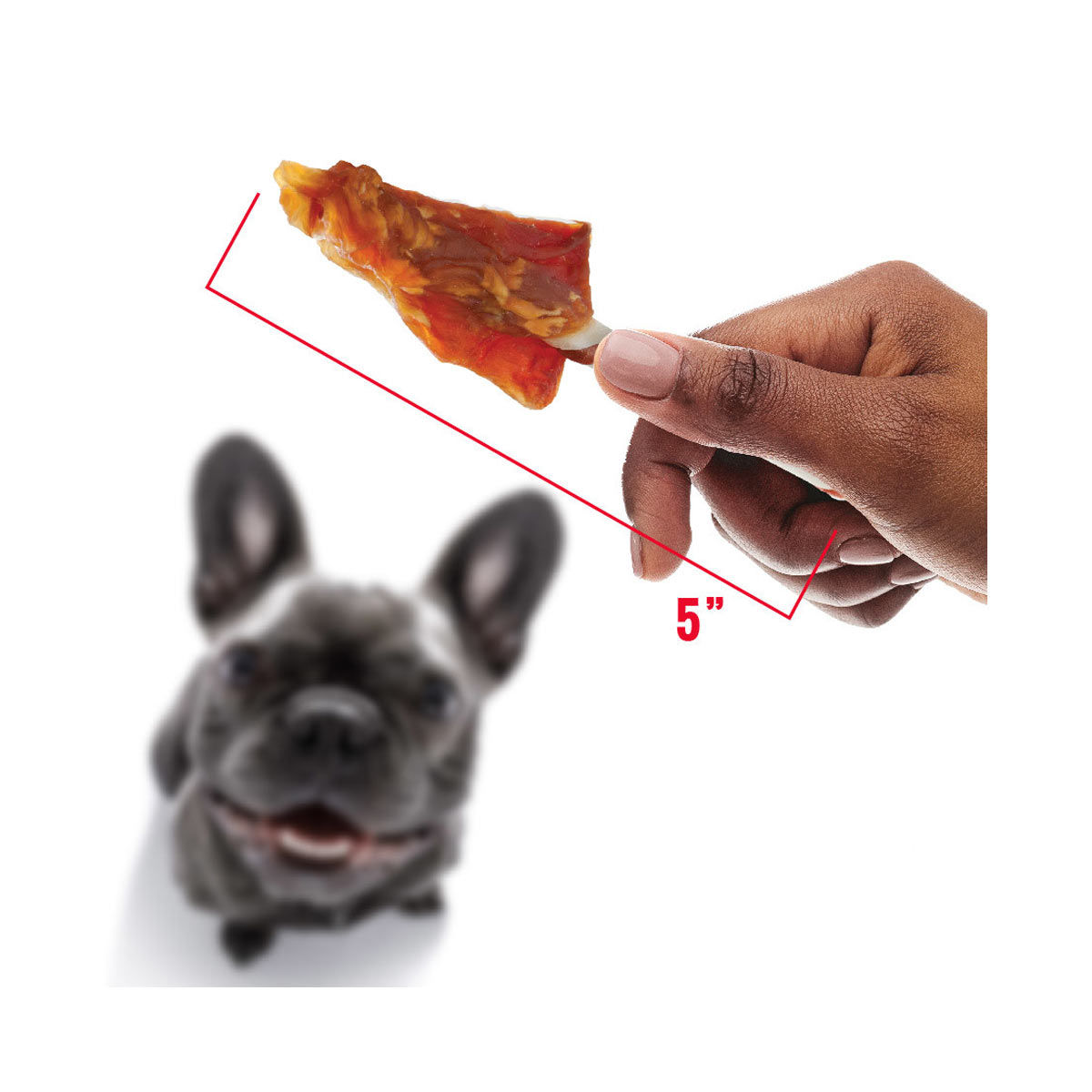 Good 'n' Fun Triple Flavor Wings Dog Treats, 4 oz