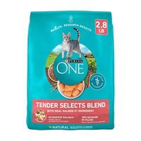 Purina ONE Natural Dry Cat Food, Tender Selects Blend With Real Salmon