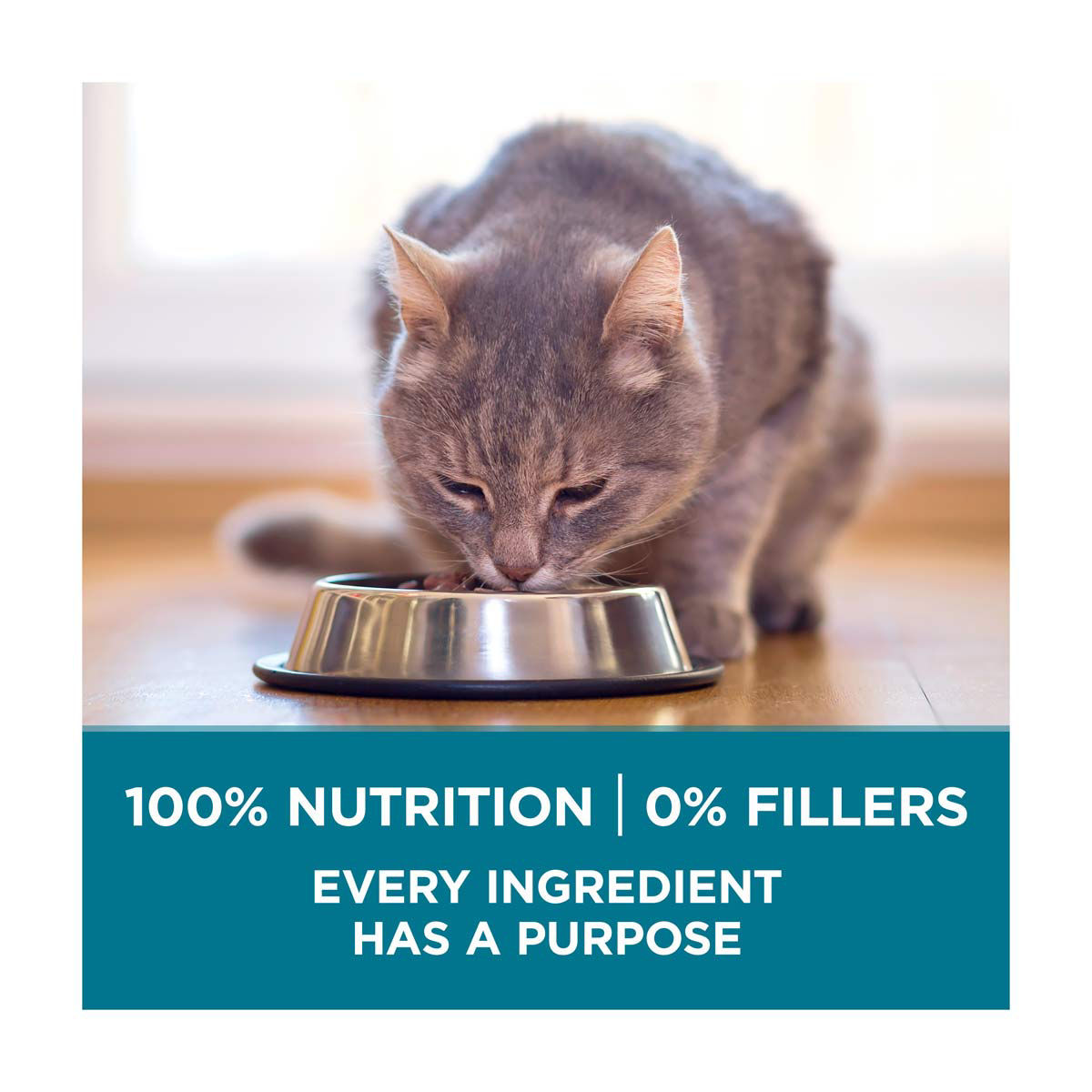 Purina ONE Natural Dry Cat Food, Tender Selects Blend With Real Salmon