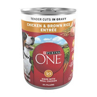 Purina ONE Tender Cuts in Wet Dog Food