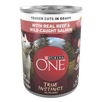 Purina ONE High Protein Wet Dog Food True