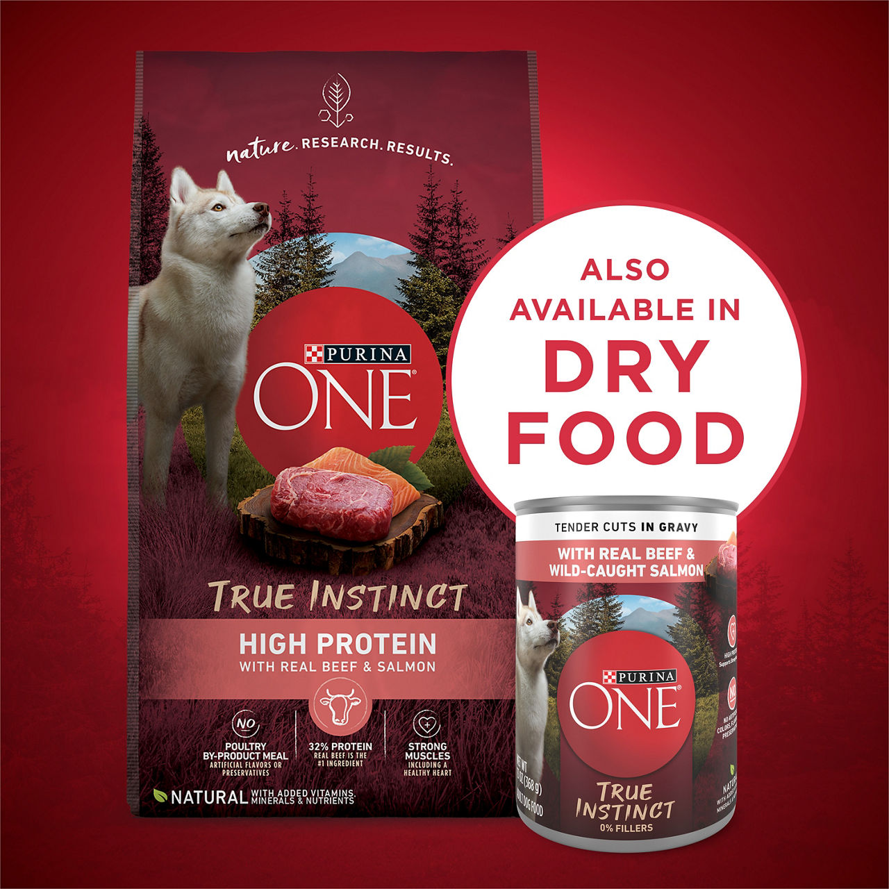 Purina ONE High Protein Wet Dog Food True Instinct Tender Cuts in Gravy With Real Beef and Wild-Caught Salmon, 13 oz