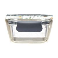 Gourmet Kitchen Airtight Food Container with Gray Lid, 12 oz.