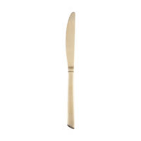 Champagne Dinner Knife