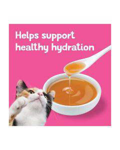 Purina Friskies Lil' Gravies Savory Salmon Flavor Complement Cat Food, 1.55 oz