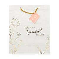 'Something Special For You' Gift Bag with Gift Tag, Large