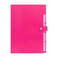 Ryder & Co. Plastic Folder, Pink