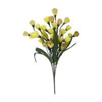 Crocus Bush
