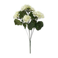 Geranium Bush