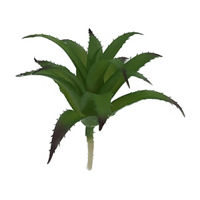 Succulent Pick